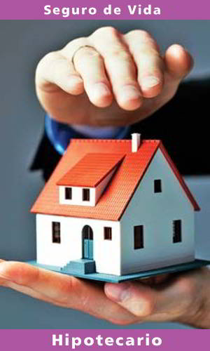 seguro de vida hipoteca