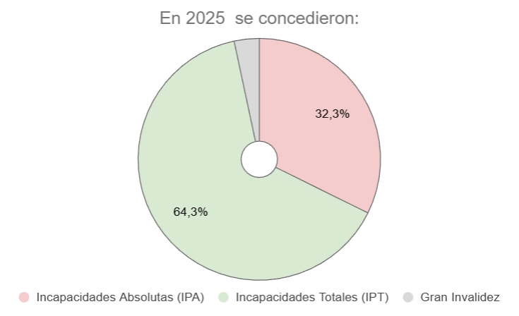 Discapacidades declaradas en 2025